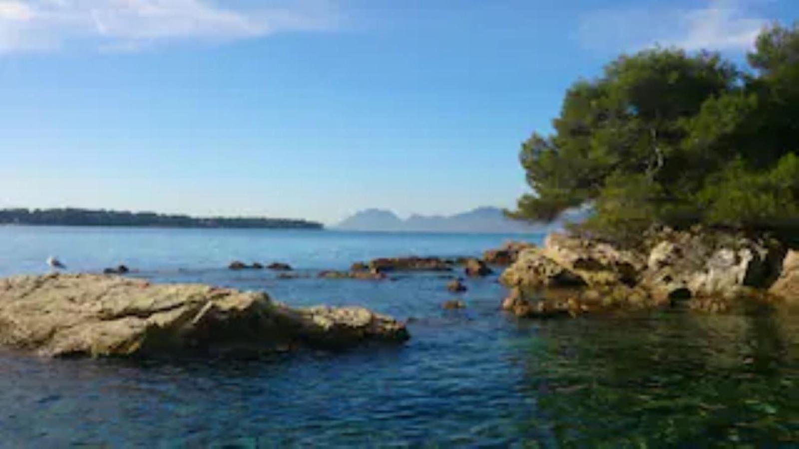 Centre Cannes beau deux pièces près de tout à pied Exterior foto